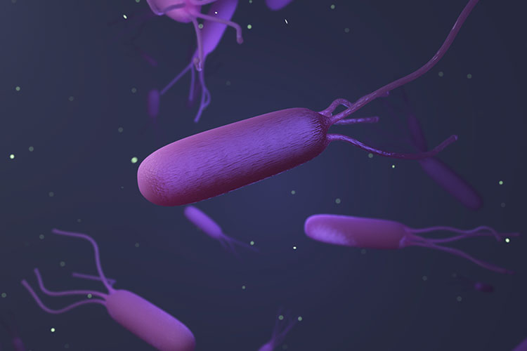 ピロリ菌画像